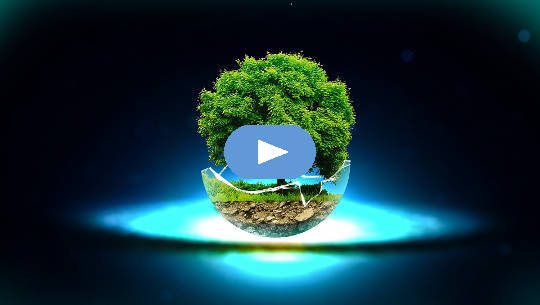 From Dirt to Soil: Life's Manure Makes For Excellent Growth Potential From Dirt to Soil: Life's Manure Makes For Excellent Growth Potential